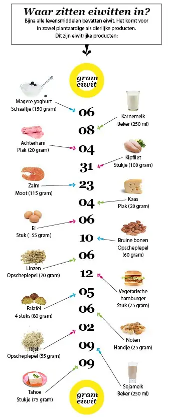 waar zitten gezonde eiwitten in afbeelding van gezondheidsnet.nl