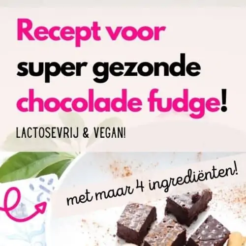 recept super gezonde chocolade fudge lactosevrij vegan