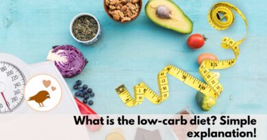 What is the low-carb diet Simple explanation
