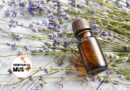 7 voordelen van lavendel en lavendelolie voor je huid