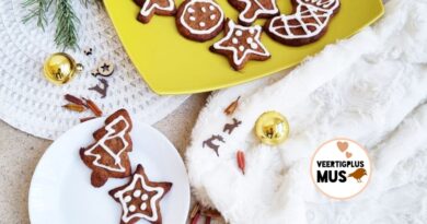 recept koolhydraatarme kerst koekjes