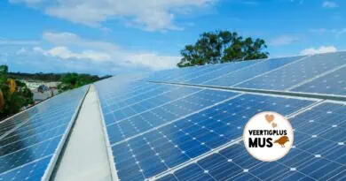5 aantrekkelijke voordelen van zonnepanelen bedrijven