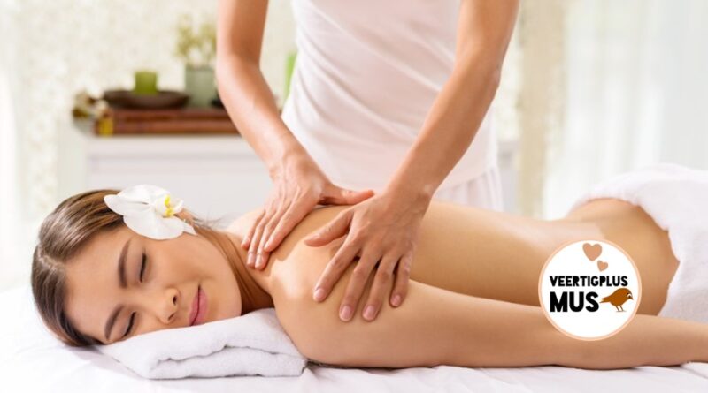 Wat leer je tijdens een massage workshop
