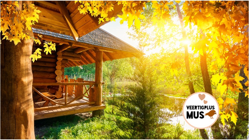 de kracht van een luxe vakantie in de natuur